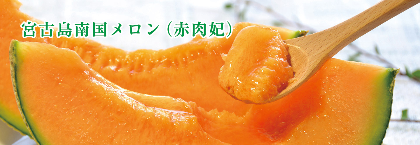 宮古島南国メロン・赤肉妃