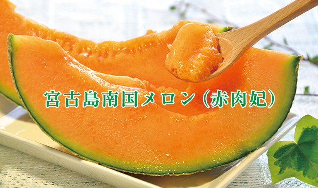 宮古島南国メロン・赤肉妃