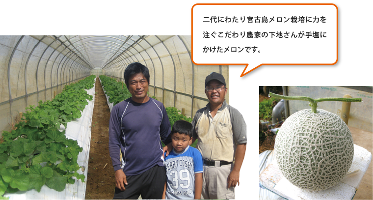 メロン栽培農家の下地さん