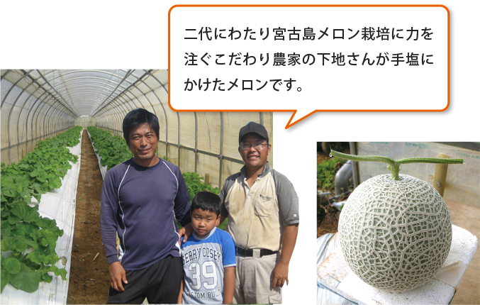 メロン栽培農家の下地さん